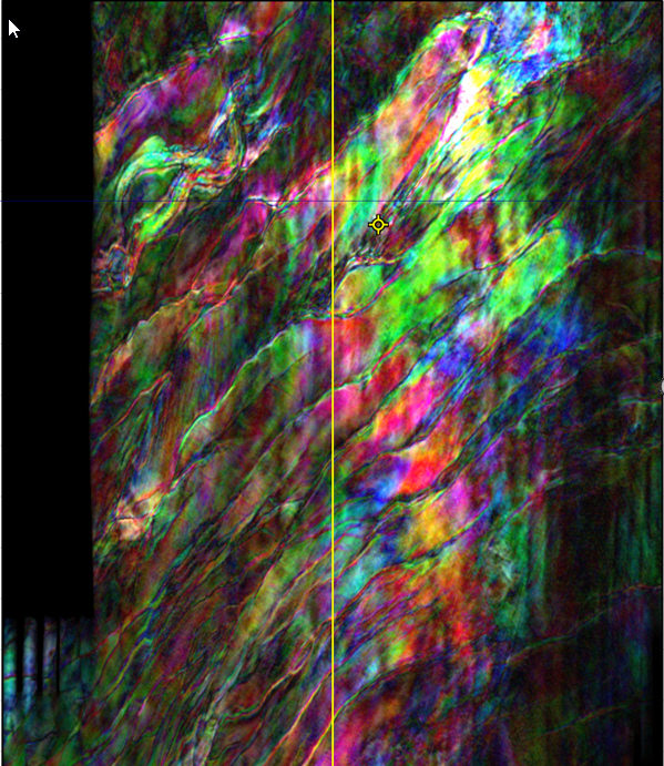 Removing coherent noise in the seismic with Cegal Blueback Avary